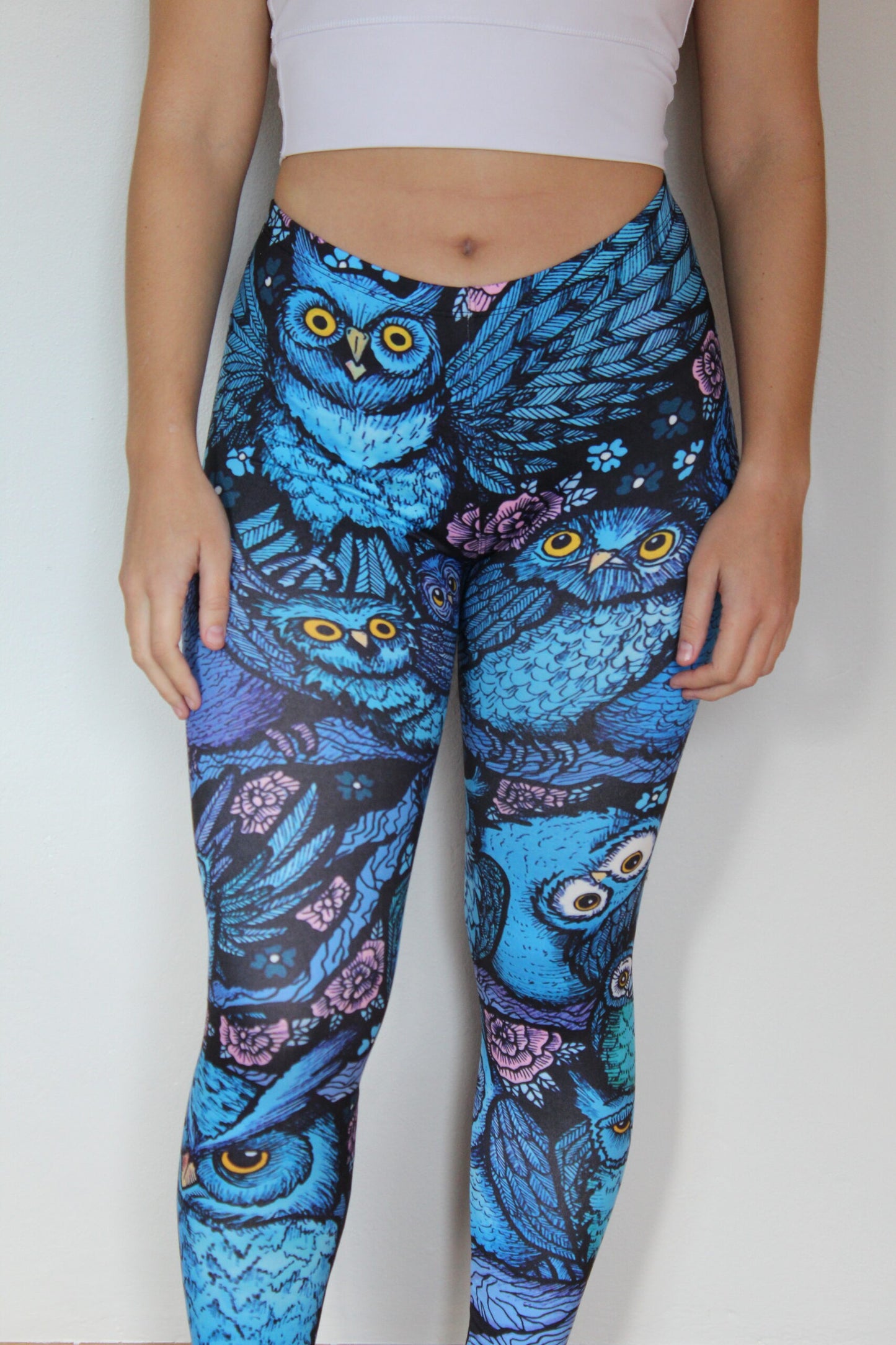 Blue Owls Front